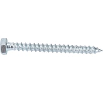 Шурупы с шестигранной головкой Gigant 6.0x60, Zn, 1 кг 123624