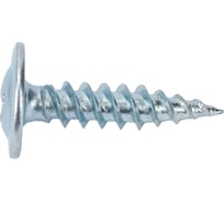Саморезы Gigant 4,2x19, полусфера, острый, цинк, 1 кг (примерно 552 шт) 123567