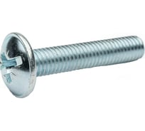 Винт с полукруглой головкой Невский Крепеж DIN 967, цинк M4x10 1 кг 830495