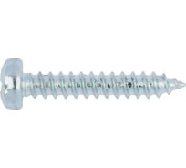 Саморез с полупотайной головкой по листовому металлу Wurth C H2 A2K, 4,8x25 мм, 100 шт. 011548 25 005 100