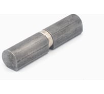 Гаражная петля с подшипником Дверной Страж капля, d.20x100 мм ДС42578