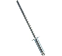 Заклепка вытяжная 3,2х10 Fasty 1000 шт. 01210003210AM