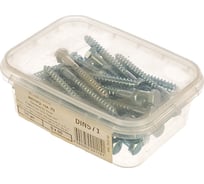 Шуруп сантехнический 6Х60 Партнер DIN571 50шт. 2650 40