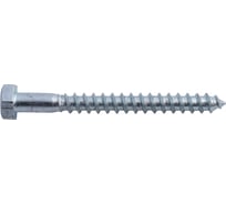 Сантехнический шуруп ЦКИ DIN 571, 10x60 мм, Ц, SW17, 50 шт. 1610