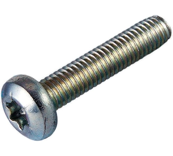 Резьбовыдавливающий винт ЦКИ DIN 7500C, М6x16 мм, Ц, TX30, 100 шт. 50750 1
