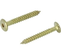 Мебельный шуруп ЦКИ 6.3x110 мм, латунированный, HEX 4, 50 шт. 43912