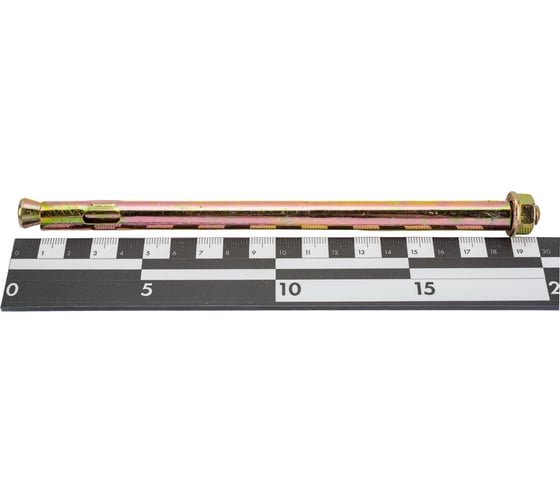 Анкерный болт Tech-Krep HNM с гайкой, 12x200 20 шт. 124924