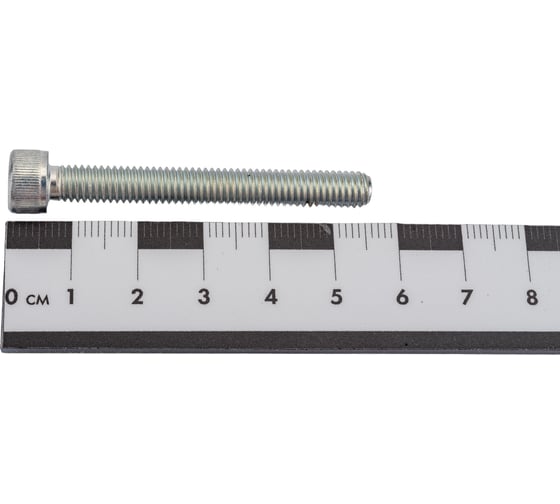 Винт с внутренним шестигранником МЕТАЛЛСЕРВИС М6x50, DIN 912, цинк, 30 шт. 1239716