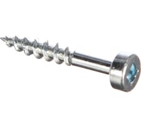 Шурупы KREG с крупным шагом, 1", Pan-Head, 100 шт. SPS-C1-100-INT