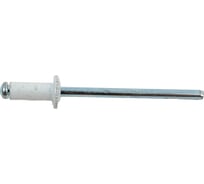 Заклепки Спец 3,2x8 RAL 9003 (белый сигнальный), 50 шт., блистер 3951