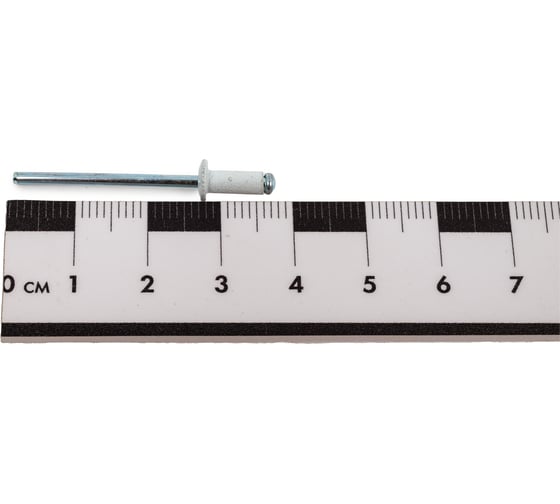 Заклепки Спец 3,2x8 RAL 9003 (белый сигнальный), 50 шт., блистер 3951