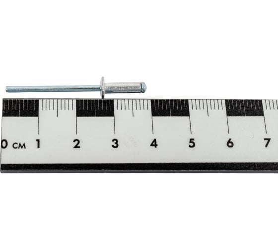 Заклепки Спец 3,2x10 мм, 50 шт., пэ пакет 4012