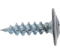 Саморез с прессшайбой STARFIX 4,2x16 мм, цинк, острый, RAL 7024, 500 шт. SMC1-39631-500
