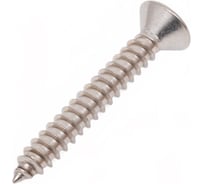 Саморез с потайной головкой STARFIX 5,5x38 мм, DIN 7982, нержавеющая сталь, 10 шт. SMZ1-52804-10