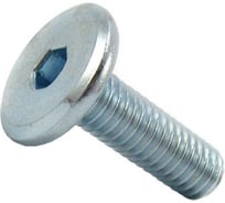 Винт Hafele оцинкованный SW4 M6x100 мм 264.71.795