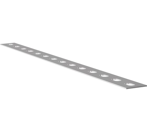 Перфорированная полоса EKF ПП40 2000 мм К107 (2 мм) pp402000-2