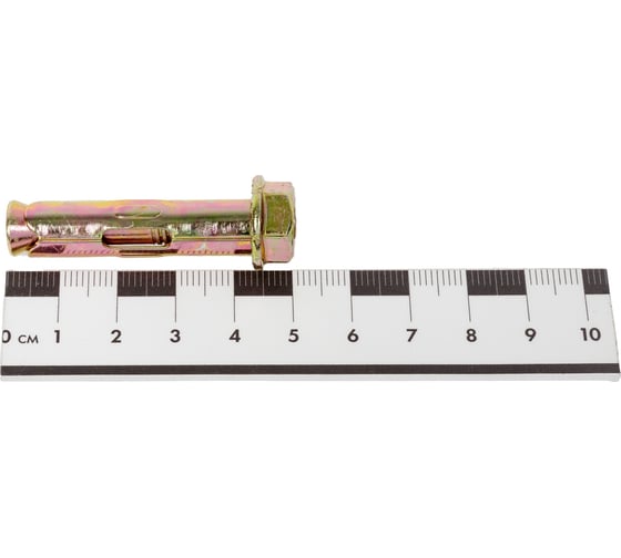 Анкерный болт Rizzel 10x50 с гайкой, 110 шт. 00000431826
