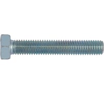 Болт с шестигранной головкой и резьбой до головки WR ISO4017-8.8-SW10-(A2K)-M6x10 (упаковка 200 шт.) 00576 10 005 200