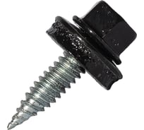 Саморез для доборных элементов HARDWEX ТМ HWX1-W-J-SP-4.8x20 мм, RAL 9005, 250 шт. 5190000001314