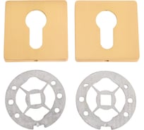 Накладка под цилиндр FUARO (ET SL) сатинированное золото SSG-39 ET.K.SL52 45843