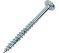 Универсальный шуруп ЕВРОПАРТНЕР multi, полукруглая головка, tx30, zn, 6,0x60 мм, 6 шт. Т6 0147 7