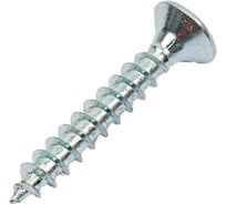 Универсальный шуруп ЕВРОПАРТНЕР multi, потайная головка, tx10, zn, 3,0x20 мм, 30 шт. Т6 1463 1