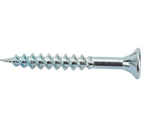 Универсальный шуруп ЕВРОПАРТНЕР multi, потайная головка, tx15, zn, 3,5x30 мм, 25 шт. Т6 1470 1