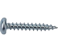 Универсальный шуруп ЕВРОПАРТНЕР multi, полукруглая головка, tx25, zn, 5,0x30 мм, 15 шт. Т6 1575 1