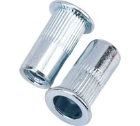 Резьбовая заклепка STARFIX М6 цилиндрический бортик, белый цинк, 10 шт. SMZ1-48529-10