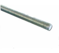 Резьбовая шпилька IEK М10х2000 CLW10-TM-10-2 269268