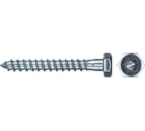 Сантехнический шуруп DIN571, 8x60 мм, 1 000 шт. Zitar 118144