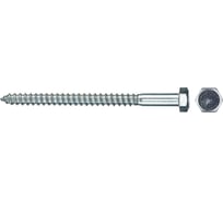 Сантехнический шуруп DIN571, 12x160 мм, 100 шт. Zitar 133360