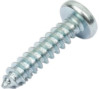 Шуруп с полукруглой головкой КРЕП-КОМП DIN7981 4,2х19 1100шт шп4219ф