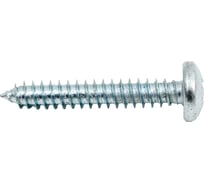 Шуруп с полукруглой головкой КРЕП-КОМП DIN7981 6,3х38 250шт шп6338ф