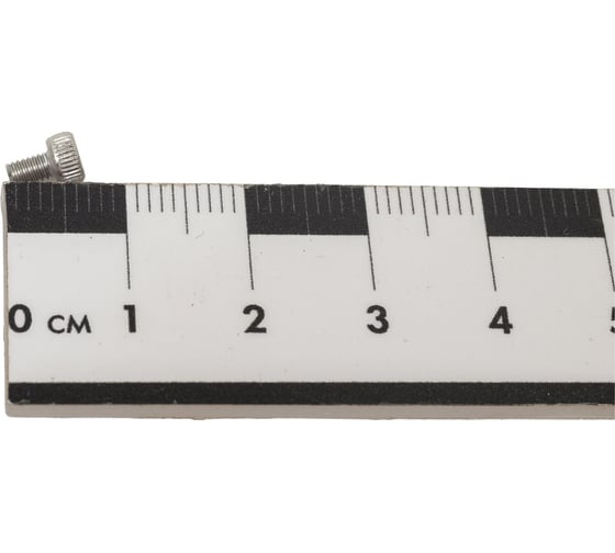 Винт ЦКИ DIN 912, М2.5x4, A2, HEX2, аналог ГОСТ 11738-84, 100 шт. 28086