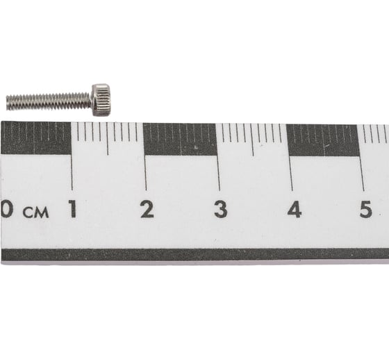 Винт ЦКИ DIN 912, М2.5x12, нерж. A2, 100 шт. 27543