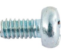 Винт ЦКИ DIN 7985, М2x4, цинк, Ph1 500 шт. 19835