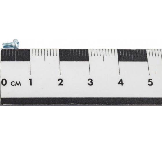Винт ЦКИ DIN 7985, М2x4, цинк, Ph1 500 шт. 19835