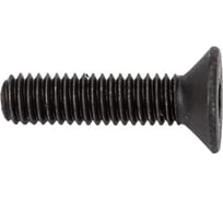 Винт ЦКИ DIN 7991, М3x12 10.9, окс., HEX2, 250 шт. 6741