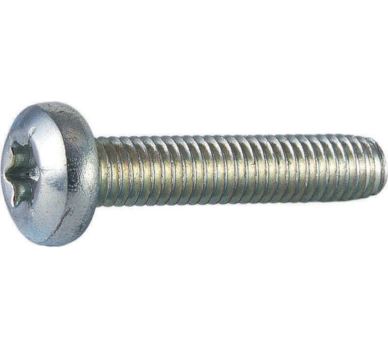 Резьбовыдавливающий винт ЦКИ DIN 7500C, М4x10, A2, TX 20, 200 шт. 32199