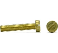 Винт ЦКИ DIN 84, М6x16, лат., SL10x1.6, 20 шт. 8896