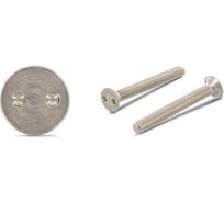 Антивандальный винт ЦКИ ART.9103, М5x12, A2, SP10, 20 шт. 60525