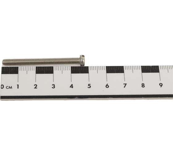 Винт ЦКИ DIN 84, М4x45, A2, SL6.5x1.2, 200 шт. 12321