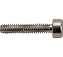 Винт ЦКИ DIN912 М2x10 нерж. A2 100 шт. 28447