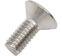 Винт ЦКИ DIN965 М4x10 A2 TX20 200 шт. 48154