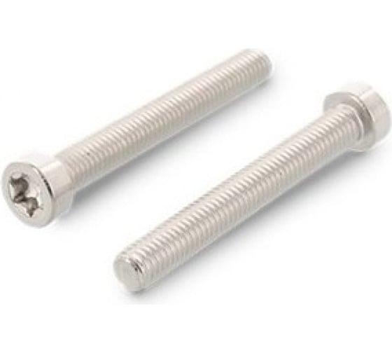 Винт ЦКИ ISO14580 М3x8 A2 TX10 200 шт. 54736 1