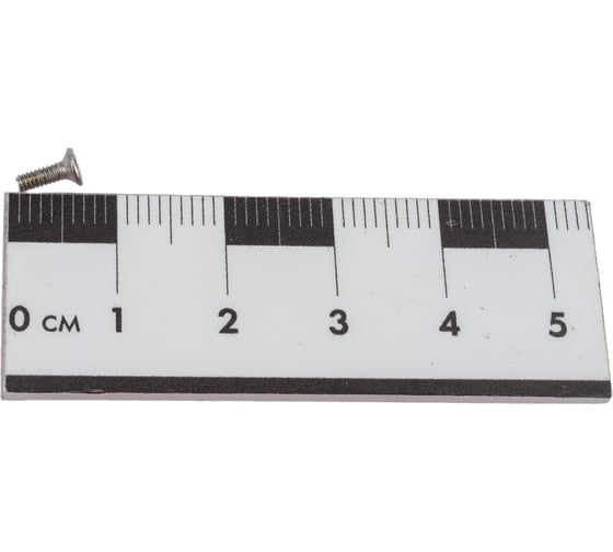 Винт ЦКИ DIN965 М2x6 нерж. A2 350 шт. 3222