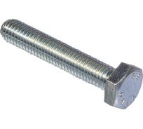 Болт с шестигранной головкой Fischer SKS10x25 мм, горячий цинк, 100 шт. 537681