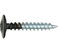 Шуруп для тонкого листового металла ЕВРОПАРТНЕР с плоской головкой, ч-п 4,2x25 10 шт. 14 1267 1