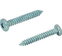 Саморез ЦКИ DIN 7981 6.3x13, остроконечный, цинк, Ph3, 200 шт. 4588